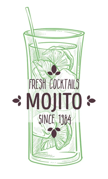 Mojito Taze Alkollü Içecek Buz Küpleri Nane Yaprakları Limon Dilimleri — Stok Vektör