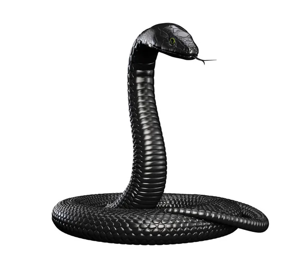 Serpiente negra sobre fondo blanco —  Fotos de Stock