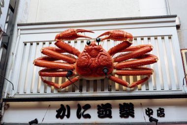 Dotonbori Osaka bölgesi, Japonya. 