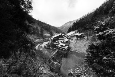 Korakukan Ryokan yakınındaki kar maymun Park, Yamanouchi, Japonya. 