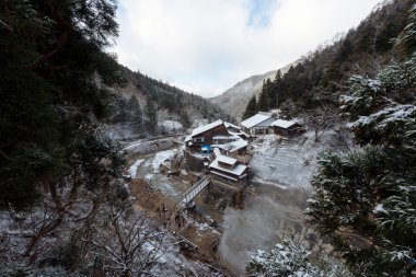 Korakukan Ryokan yakınındaki kar maymun Park, Yamanouchi, Japonya. 