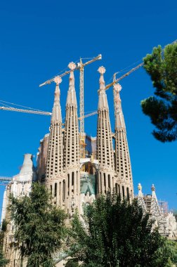 Sagrada Familia, Barselona, İspanya. 