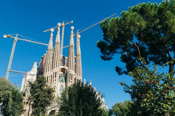 Sagrada Familia, Barcelona, Španělsko. — Stock fotografie