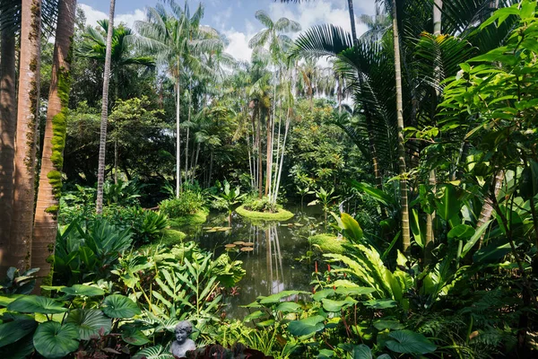 Singapores botaniska trädgård — Stockfoto