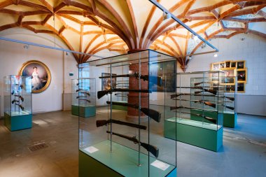 Schwerin, Almanya - 10 Eylül 2017: iç ve Schwerin kale müze Sergisi. Müzenin güzel Odalar, silah, ince çini ve gümüş ducal kez görkemi gösterir.