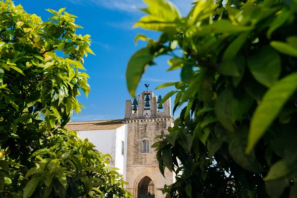 Faro - Portugal, April 3, 2018: Faro Cathedral and orange trees in Algarve, Portugal.