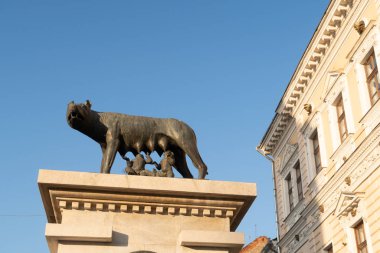 Cluj Napoca, Romanya - 24 Ekim 2019: Cluj-Napoca 'daki Capitoline Wolf Heykeli (Statuia Lupoaicei) şehir merkezindeki Eroilor Bulvarı üzerinde yer almaktadır ve 1920 yılında inşa edilmiştir..