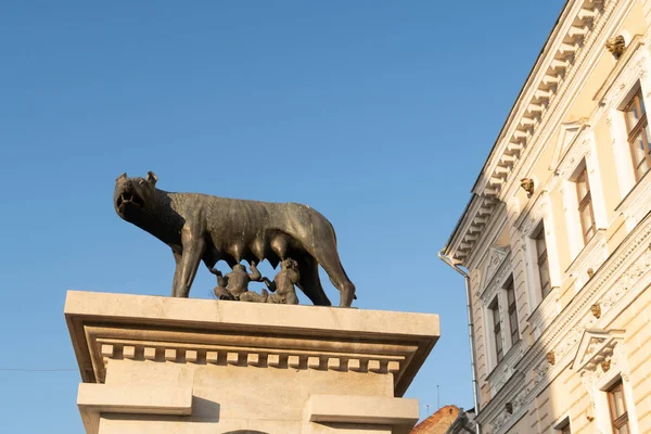 ルーマニアのクルジュ ナポカ 2019年10月24日 クルジュ ナポカのキャピトリン ウルフ像 Statuia Lupoaicei 市内中心部のエロイロール ブールバードに位置し — ストック写真