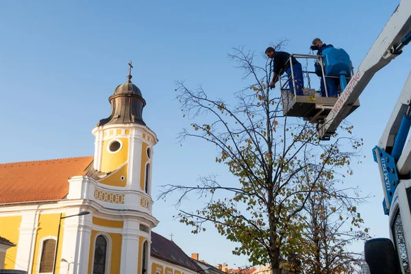 Cluj Napoca Rumania Oct 2019 Trabajadores Instalan Una Luz Navidad — Foto de Stock