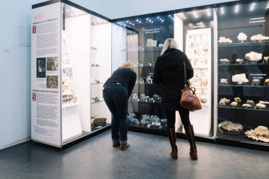 Bucharest, Romania - Dec 15, 2019: Exhibition in the Grigore Antipa National Museum of Natural History in Bucharest, Romania,