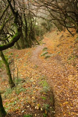 Meteora, Greece - Dec 19, 2019: Hiking path at Meteora,Greece