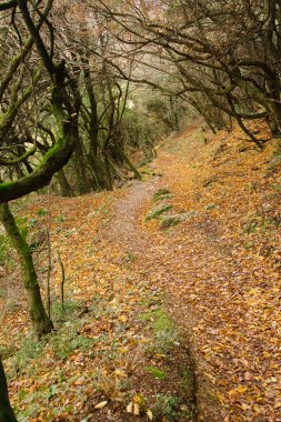 Meteora, Greece - Dec 19, 2019: Hiking path at Meteora,Greece