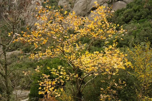 Meteora Greece Dec 2019 Hiking Path Meteora Greece — стокове фото