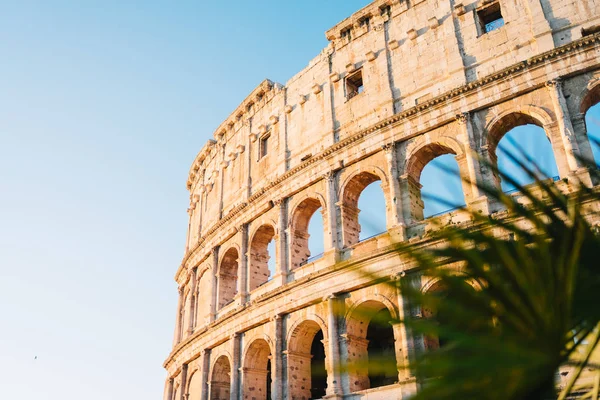 Рим Италия Января 2020 Года Колизей Риме Италия — стоковое фото