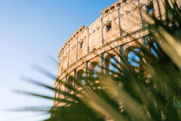 Рим Італія Січня 2020 Колізей Римі Італія — стокове фото