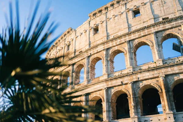 Roma Italia Jan 2020 Coliseo Roma Italia —  Fotos de Stock