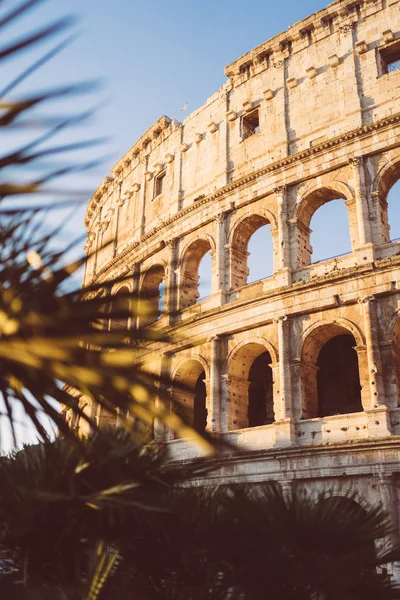 Roma Italia Gennaio 2020 Colosseo Roma Italia — Foto Stock