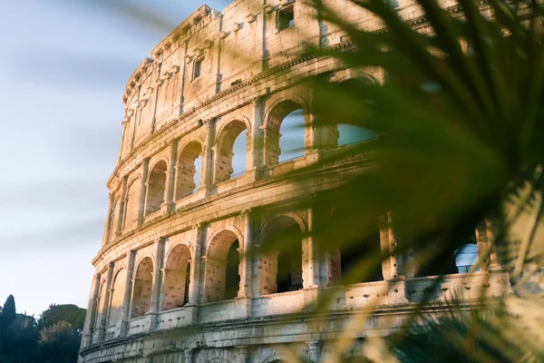 Roma Italia Gennaio 2020 Colosseo Roma Italia — Foto Stock