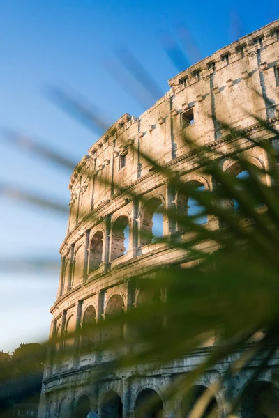 Roma Italia Gennaio 2020 Colosseo Roma Italia — Foto Stock