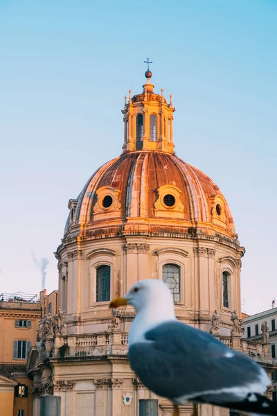 Rome Italy Jan 2020 Santa Maria Loreto Church Gull Rome — 스톡 사진