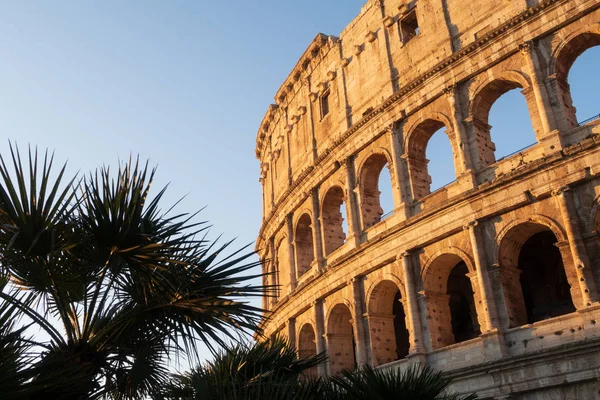 Roma Italia Jan 2020 Coliseo Roma Italia —  Fotos de Stock