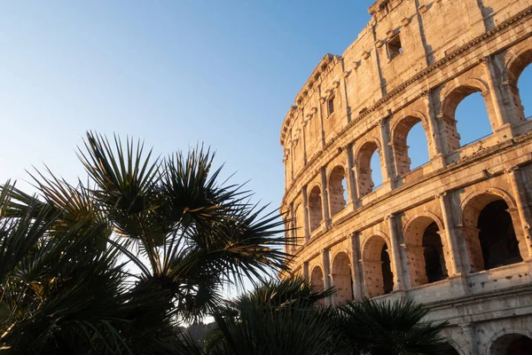 Rom Italien Janus 2020 Colosseum Rom Italien — Stockfoto