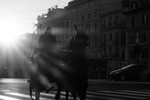 Rome Italy Jan 2020 Horse Carriage Passes Colosseum Centre Rome — 스톡 사진