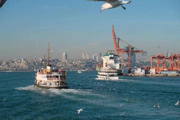 Κωνσταντινούπολη Τουρκία Ιανουαρίου 2020 Ferry Boat Στο Βόσπορο Κωνσταντινούπολη Τουρκία — Φωτογραφία Αρχείου
