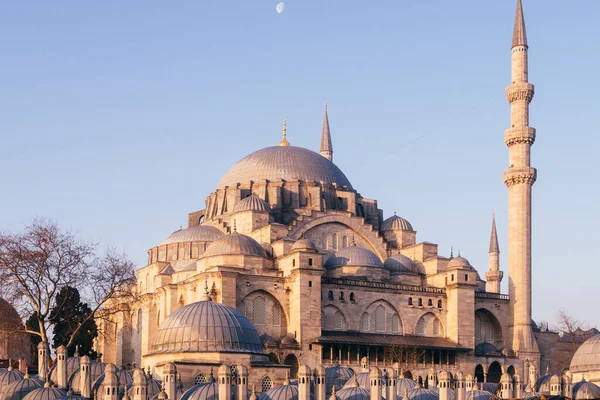 Estambul Turquía Enero 2020 Mezquita Suleymaniye Patrimonio Humanidad Por Unesco — Foto de Stock