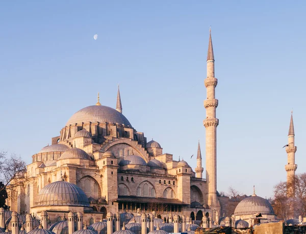 Estambul Turquía Enero 2020 Mezquita Suleymaniye Patrimonio Humanidad Por Unesco — Foto de Stock