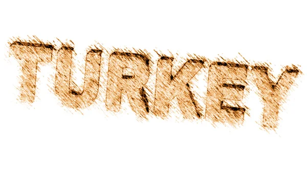 Turkey White Background Illustration — Stockfoto