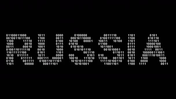 Russia Binary Code Screen Looping Footage Illustration — Stock Video