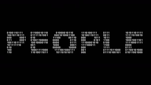 People Binary Code Screen Looping Footage Illustration — Stock Video