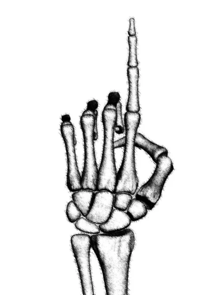 Rajzolt Csontváz Kéz Illusztráció — Stock Fotó
