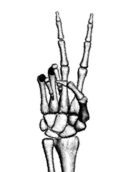 Die Gezeichnete Skeletthand Illustration — Stockfoto