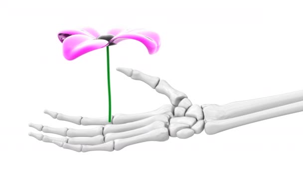 Blume Skeletthand Looping Aufnahmen Illustration — Stockvideo