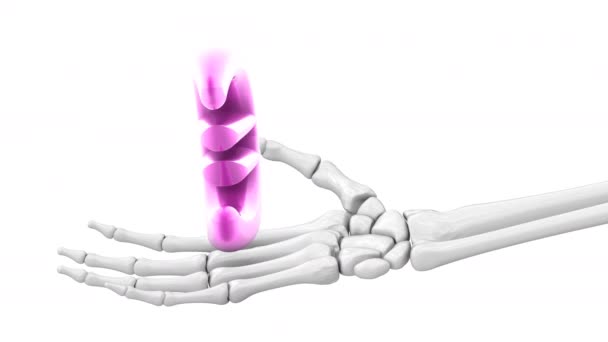 Ікона Євро Скелетній Руці Завантаження Кадрів Illustration — стокове відео