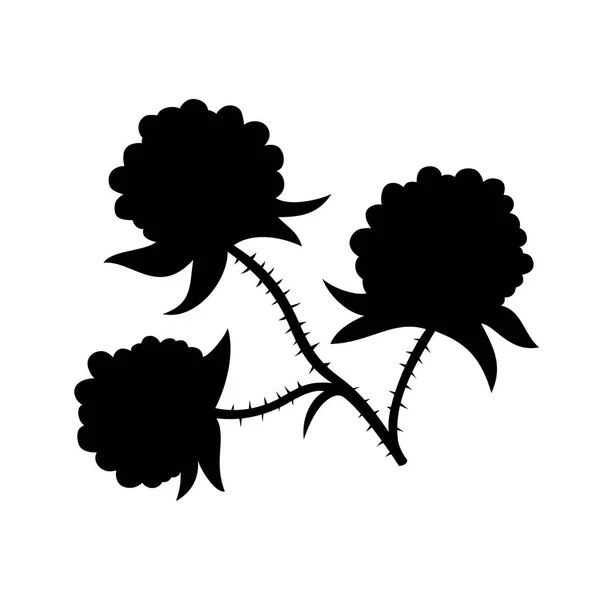 Branch of blackberries — Stock Vector