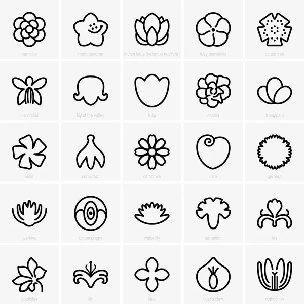 Set of flower icons — Stock Vector