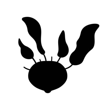 Sarımsak, gölge resim