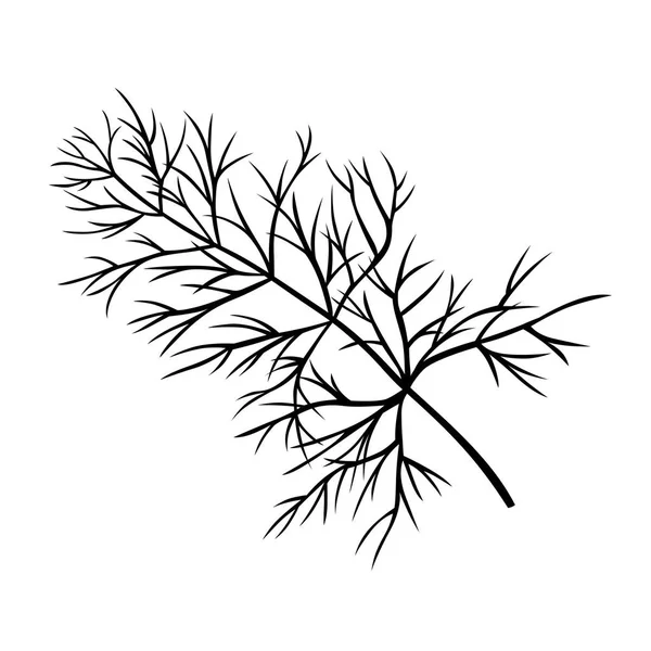 Branch of dill — Stock Vector