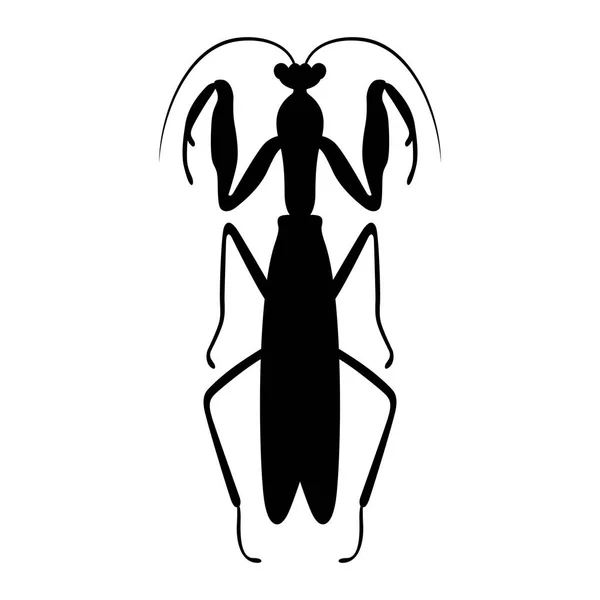 Mantis, imagen de sombra — Archivo Imágenes Vectoriales