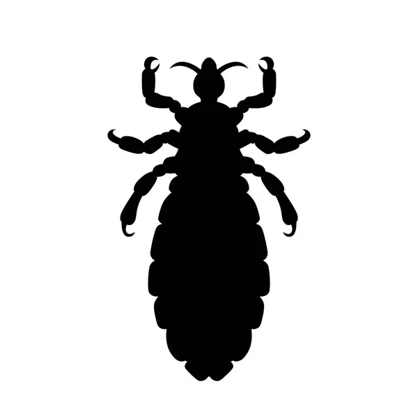 Head louse, shade picture — Stock Vector