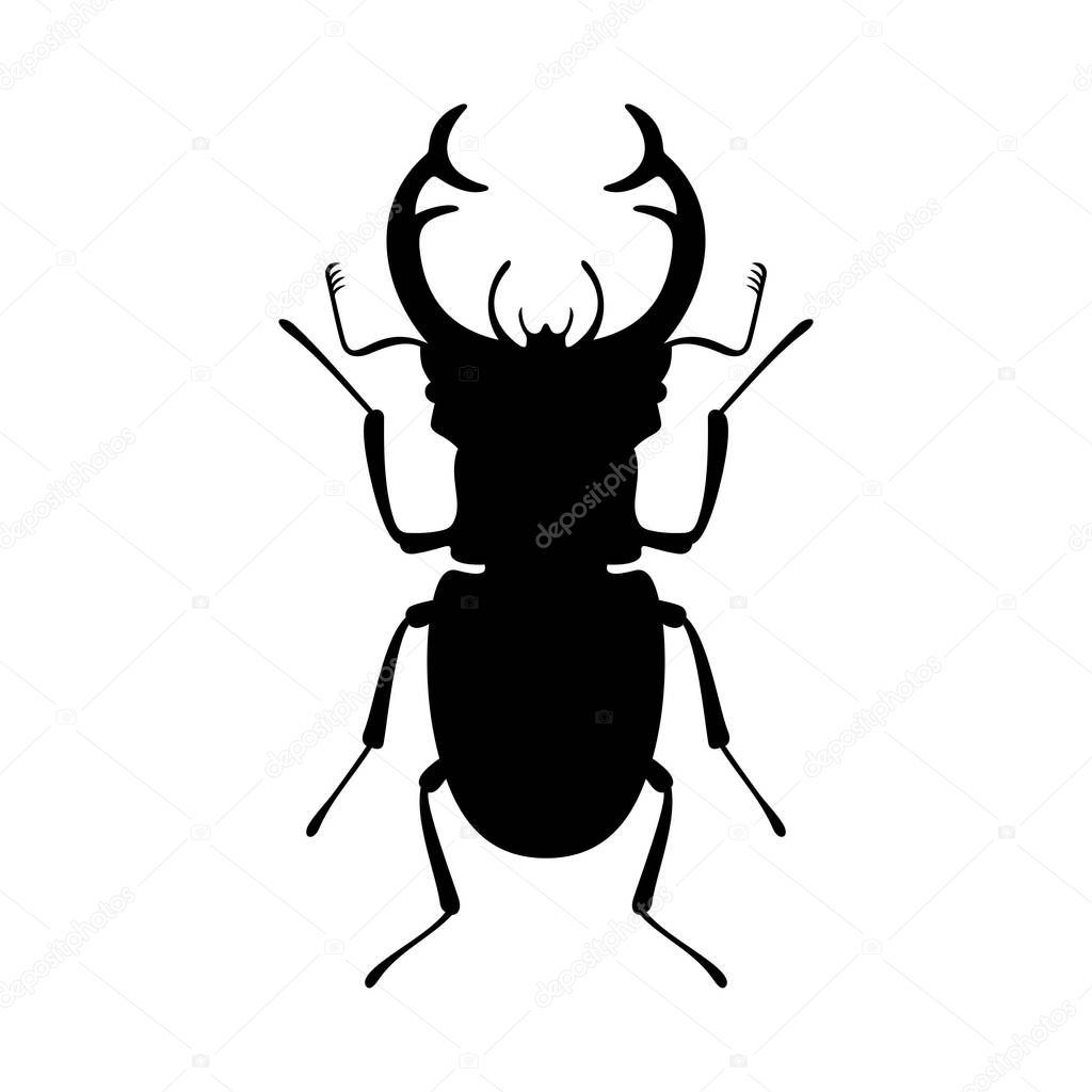 Stag beetle, shade picture