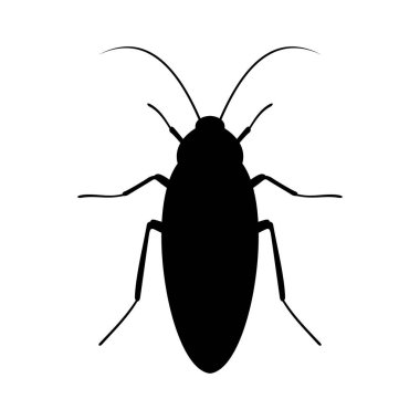 Hamam böceği, gölge resim