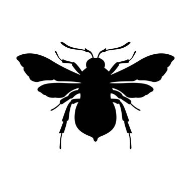 Bumblebee, gölge resim