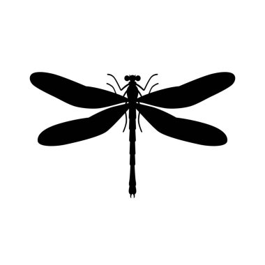 Yusufçuk, gölge resim