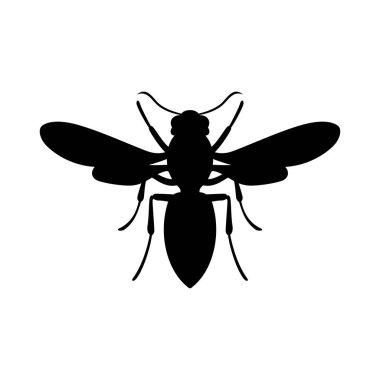 Eşek arısı, gölge resim