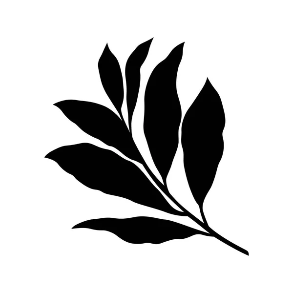 Rama de hojas de laurel — Archivo Imágenes Vectoriales