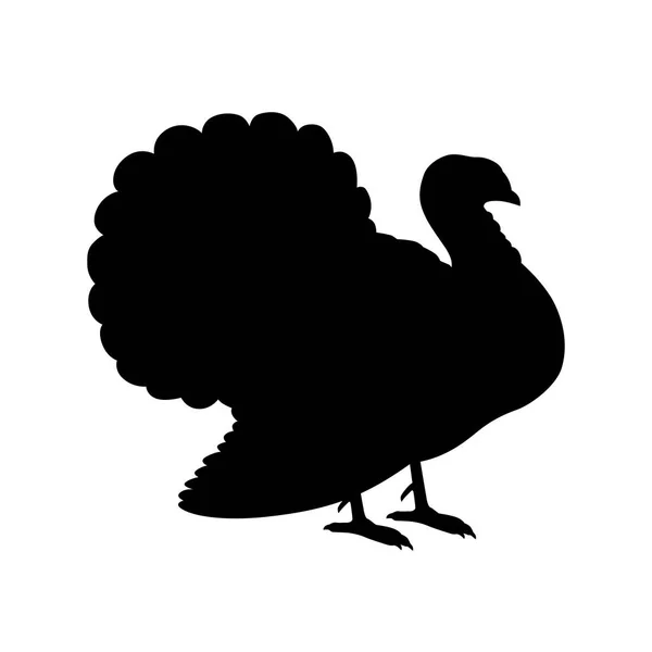 Wild turkey, shade picture — Stock Vector